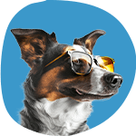 Chien